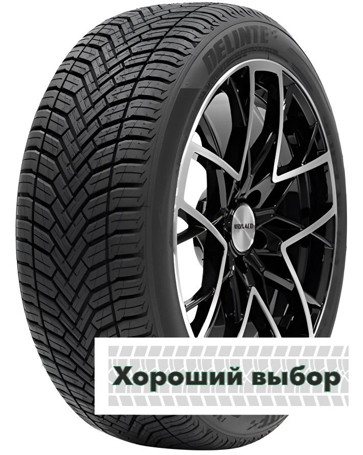 205/50 r17 Delinte AW6 93W