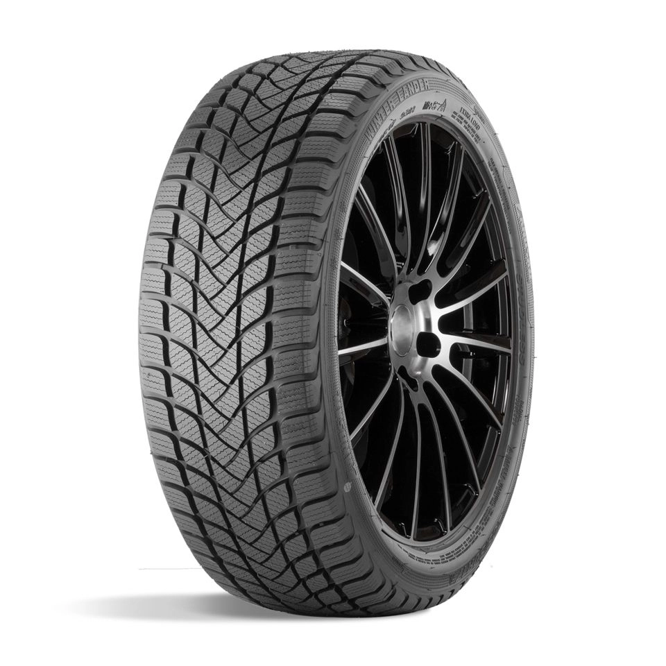205/55 R17 LANDSAIL Winter Lander 95H 