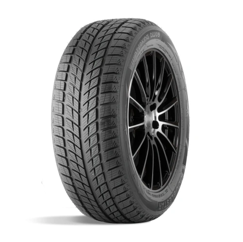 255/50 R20 DOUBLESTAR DW09 109H 