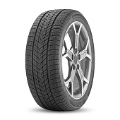 275/40 R21XL Arivo Winmaster ProX ARW5 107H
